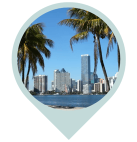 Miami city skyline with palm trees, symbolizing local home organizing services.