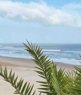 The legendary waves of Chicama, known for being one of the longest surf waves in the world, on the coast of Peru.