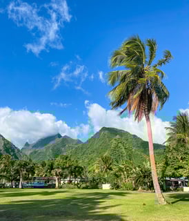 Vue sur la montagne verte et un palmier à Teahupoo à Tahiti
