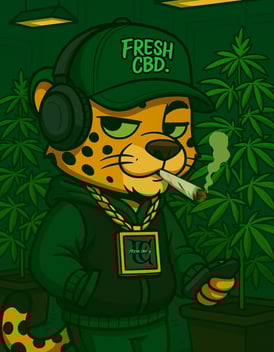  Ilustración de mascota Fresh CBD con planta de cannabis y cigarro