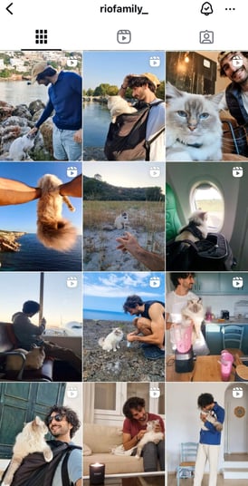 Instagram riofamily_