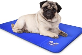 Arf Pets Self-Cooling Dog Mat
