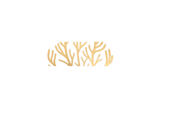 Boké Logo