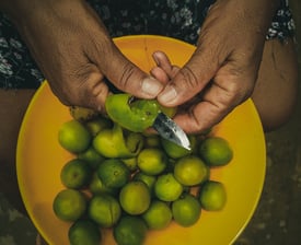frutos umbu