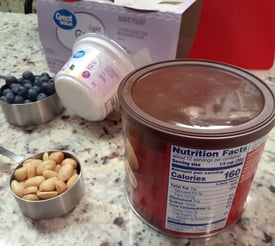 peanuts, yougurt and blueberries for snacks