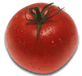 Tomato Soup