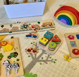 Develop cognitive and fine motor skills with a large selection of wooden puzzles.