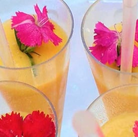 bar a fleurs 