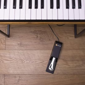 M-Audio SP-2 Sustain Pedal