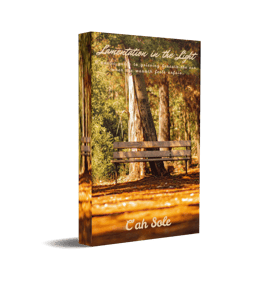 Lamentation in the Light ebook cover by C'ah Sole with shaded wooden bench in forest