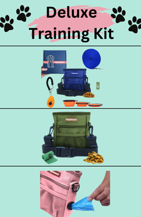 dog training supplies