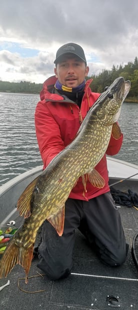 un homme est a genoux dans un bateau de pêche en suède , il tient un beau brochet , il est heureux