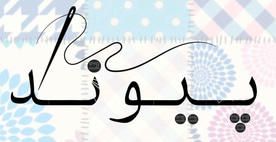 Pewand.store logo