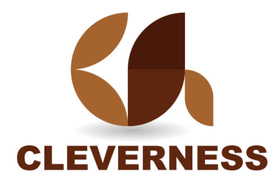 CLEVERNESS logo