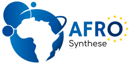 AfroSynthese logo