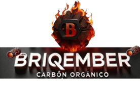 BRIQEMBER logo