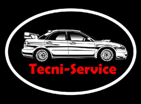 Tecni Service logo