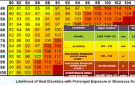 importance of heart indix