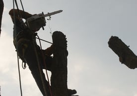 Démontage d'un arbre.