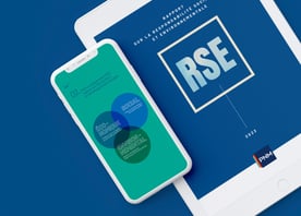 rapport RSE