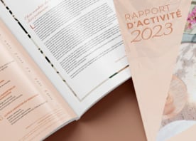 rapport d'activité