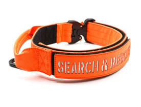 an orange collar for k9 search and rescue dog