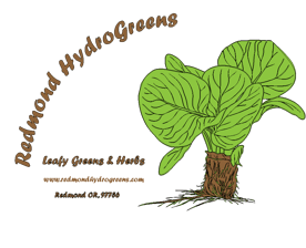hydroponic leafy greens