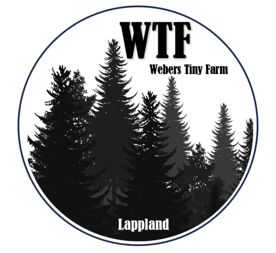 Logo WTF Camp