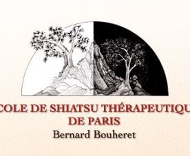 ecole shiatsu EST Paris