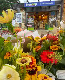 magasin biocoop chambonas