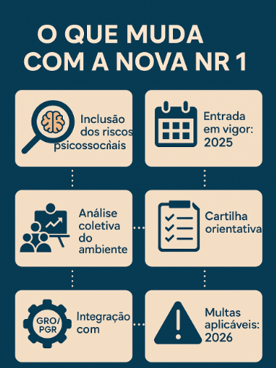 Quadro de resumo