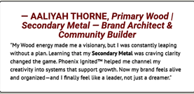 DM screenshot of Wood + Metal Archetype – Visionary entrepreneur celebrates discovering her strategic dual archetype