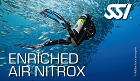 a scuba diver in a scuba suit with a scuba diver in the background