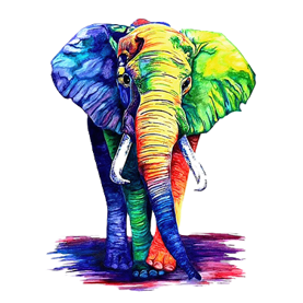 Unleash your imagination!