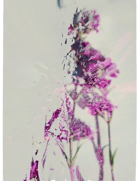 digital art, visual art, digital paintings, Joanna Wlaszyn