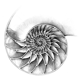 UNITERRAPI logo