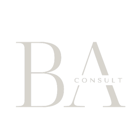 BA Consult logo