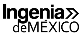 IDM logo