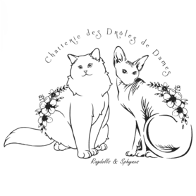 Chatterie des Drôles de Dames logo