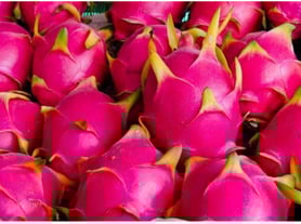 Fresh Dragon Fruit (White or Red), Thanh long ( trắng hoặc đỏ ) UpBe Food VN