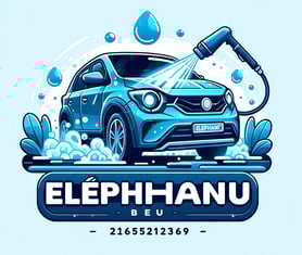 a car washer with a blue car washer