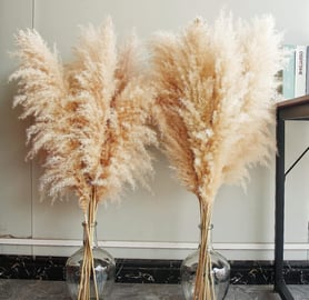 Drie Flower