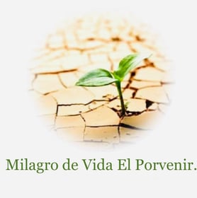Milagro De Vida El Porvenir