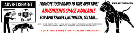 Advertising on APBT INFO – Connect with True APBT Enthusiasts