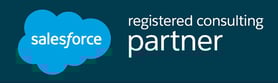 Salesforce Consulting Partner