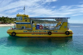 Glass Bottom Boat roatan