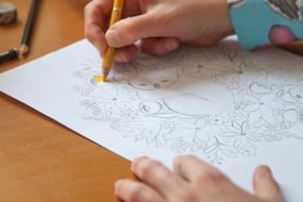 Hands making a koala illustration with colored pencils