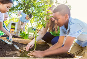 Educação para sustentabilidade - Sustence