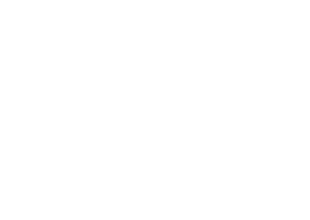 Vintage Nagina Handicrafts Logo
