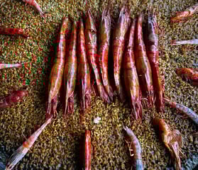 Paellas artesanales para eventos en Barcelona